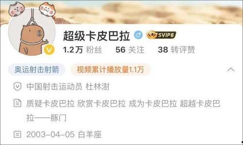 卡哥最新爆料视频大全下载,揭秘幕后真相,带你领略精彩瞬间